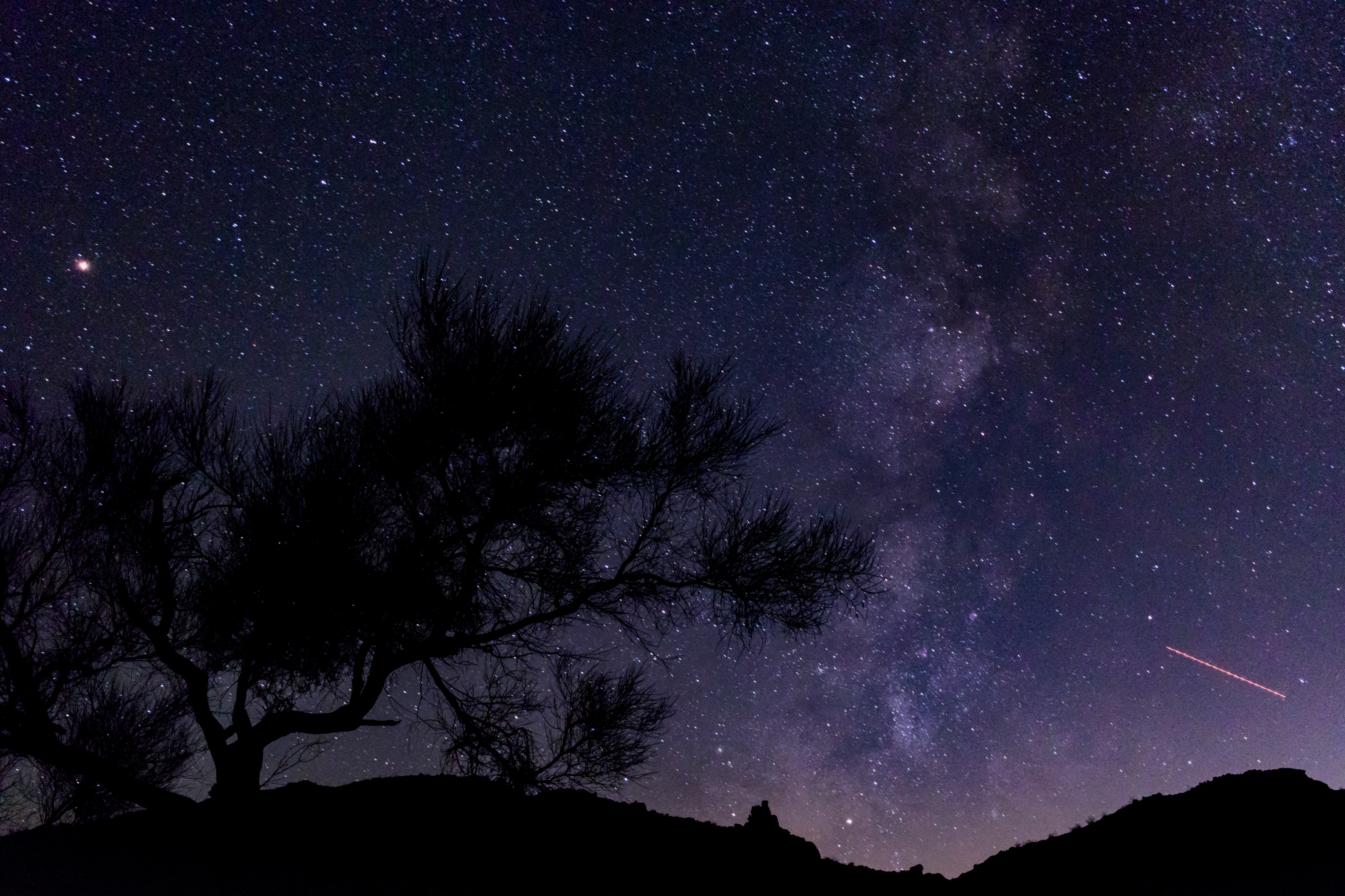 Silhouette of trees against night sky