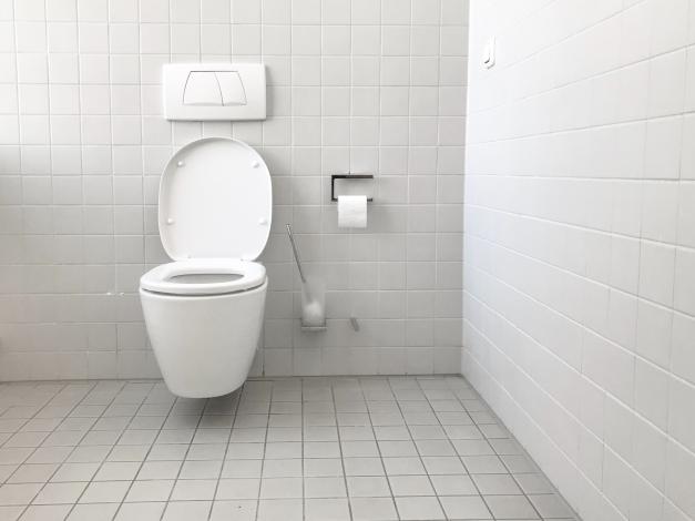 Toilet with brush close by