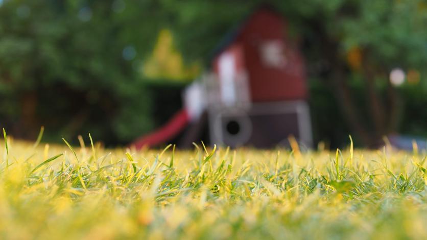 Grass with playground in background