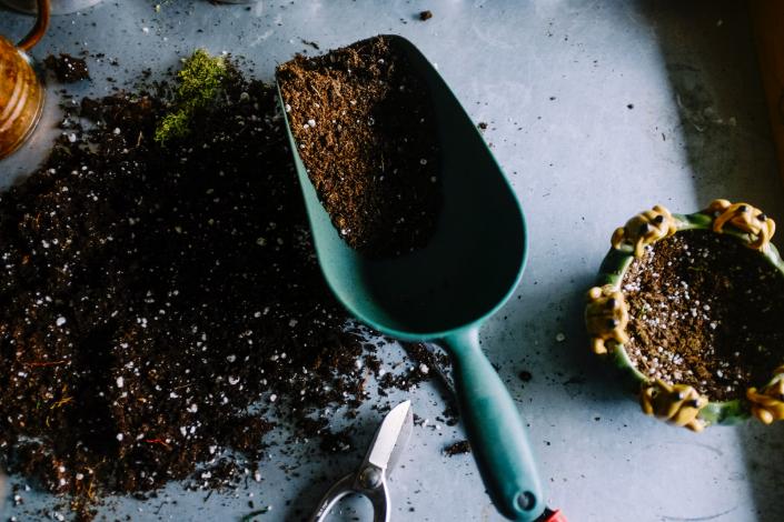Green garden shovel with soil and pot