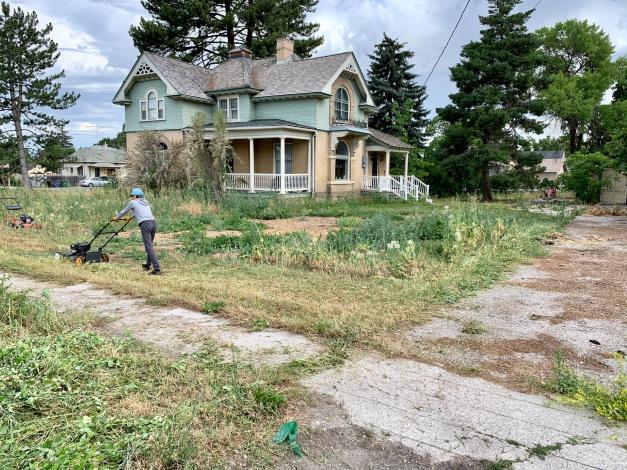 Child mowing lawn