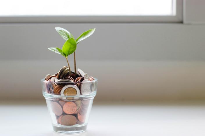 Plant growing from coins