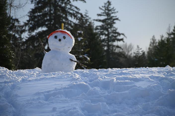 Picture of a snowman