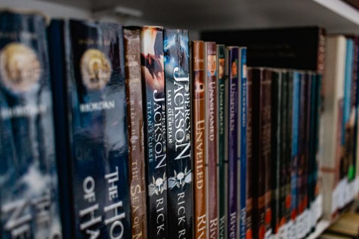 Picture of book spines