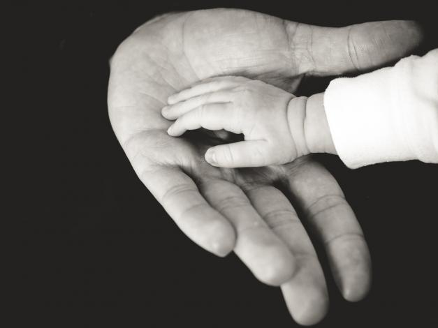 Small baby hand in adult hand