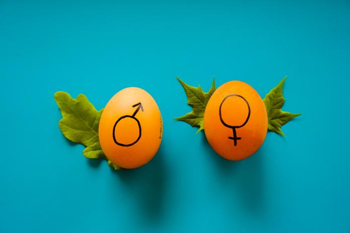 Eggs with male and female symbols on them