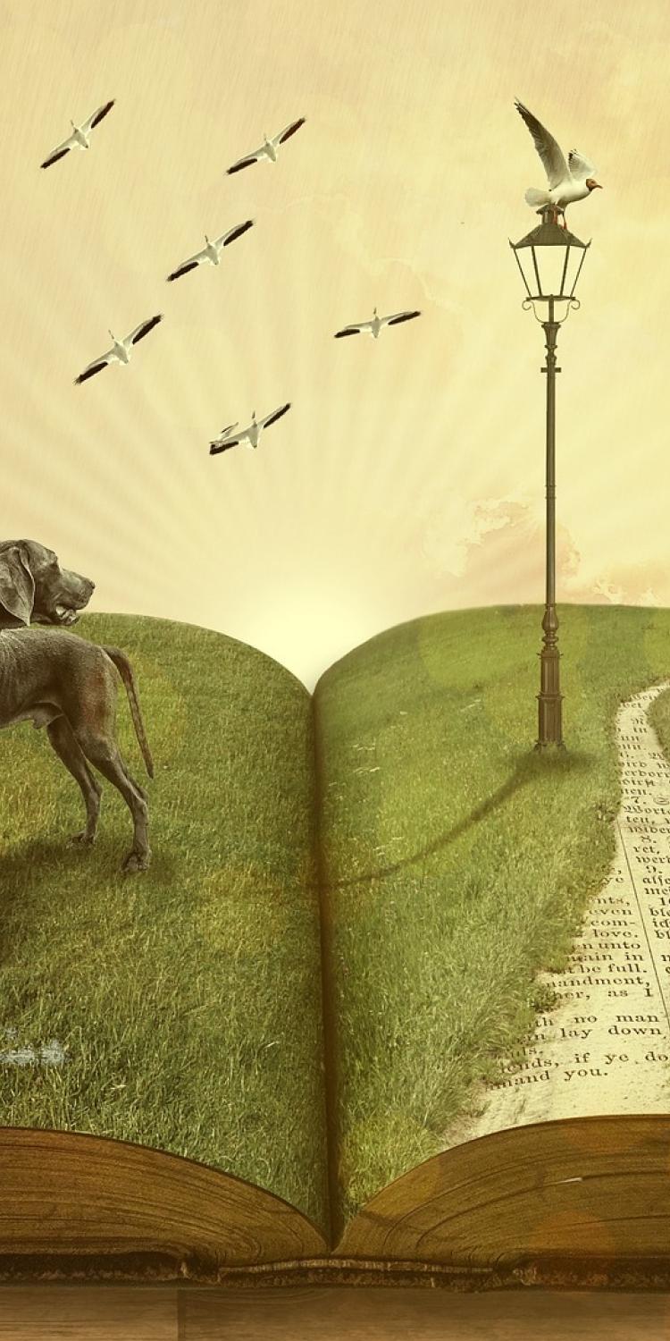 Book open with dog and person on top