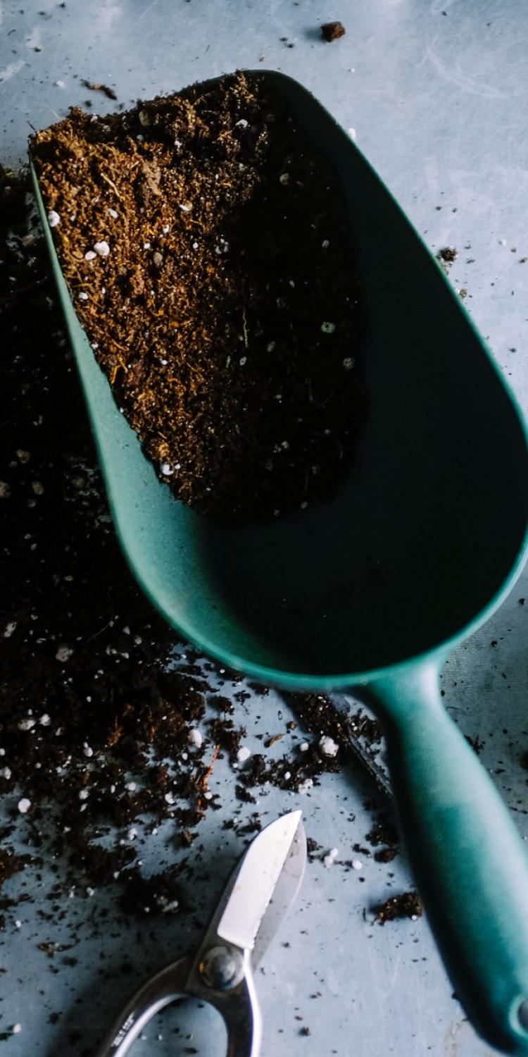 Green garden shovel with soil and pot