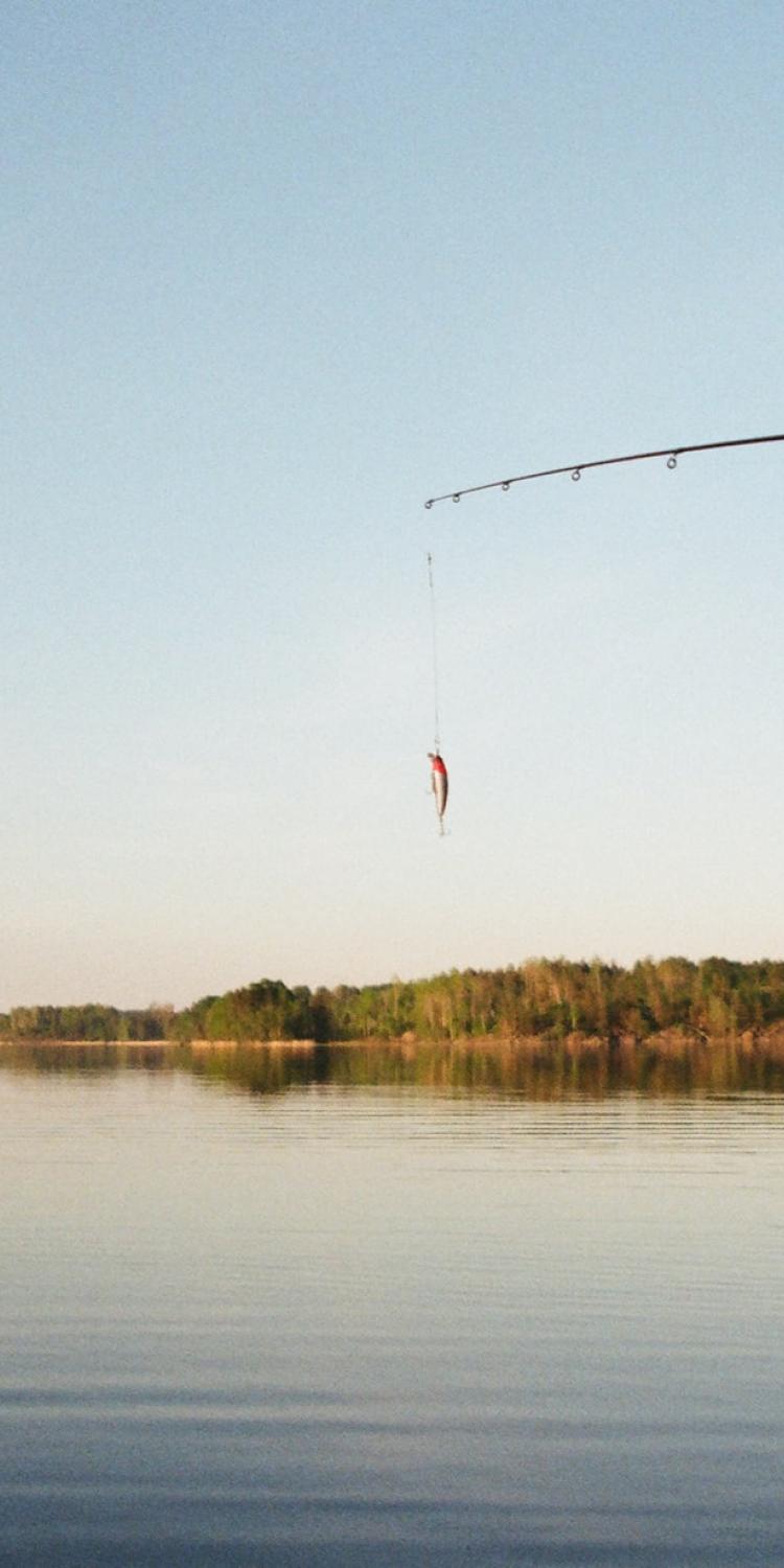Fishing rod over water