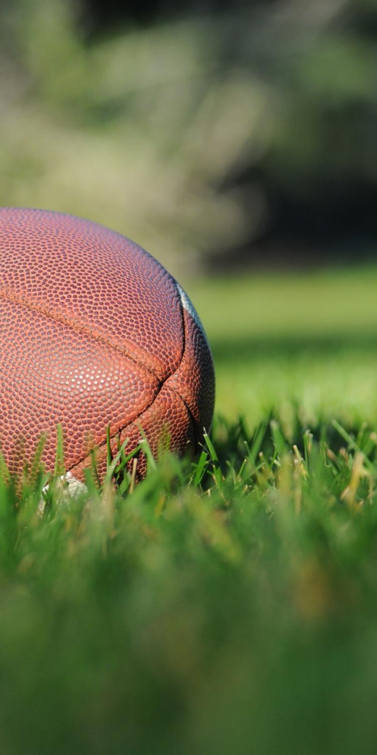 American football laying in the grass