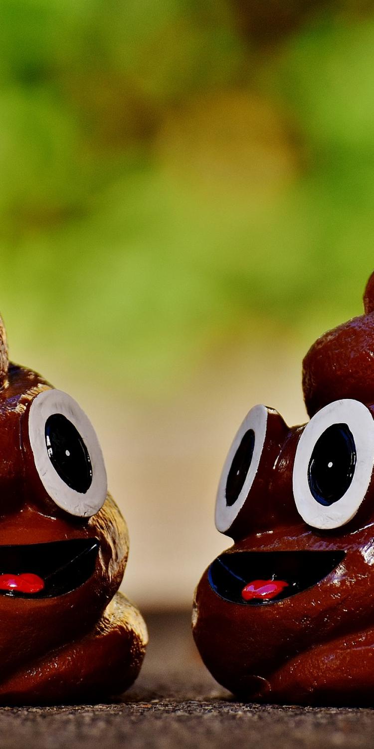 Poop emoji
