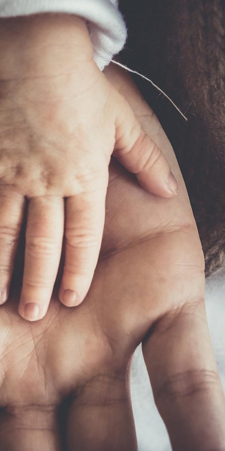 Baby hand on adult hand