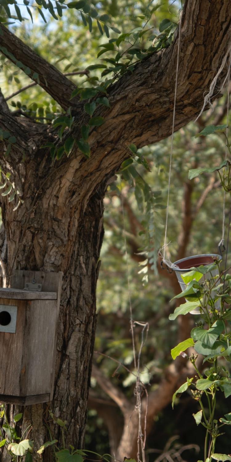 Bird feeders