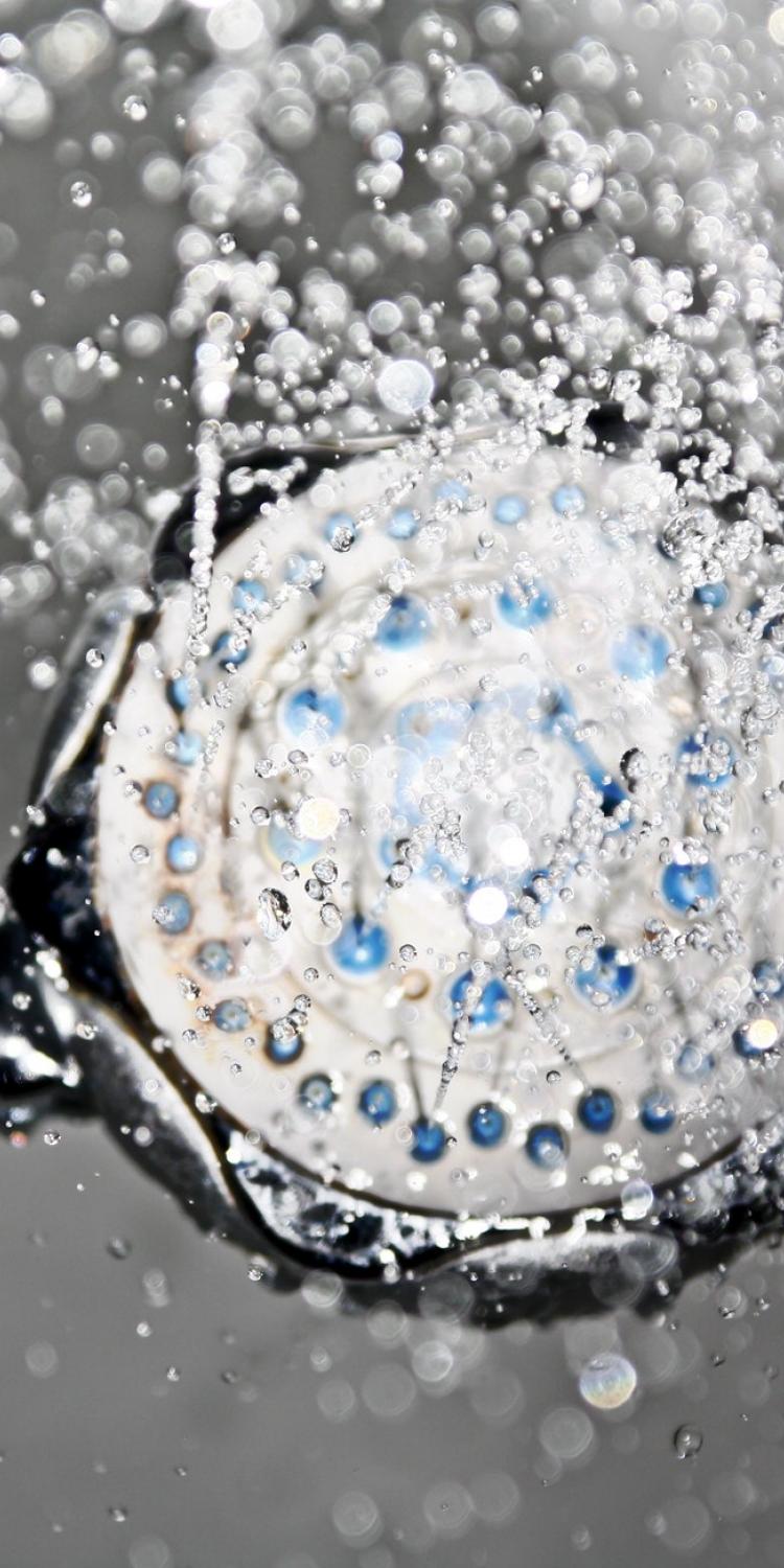 Shower head with water