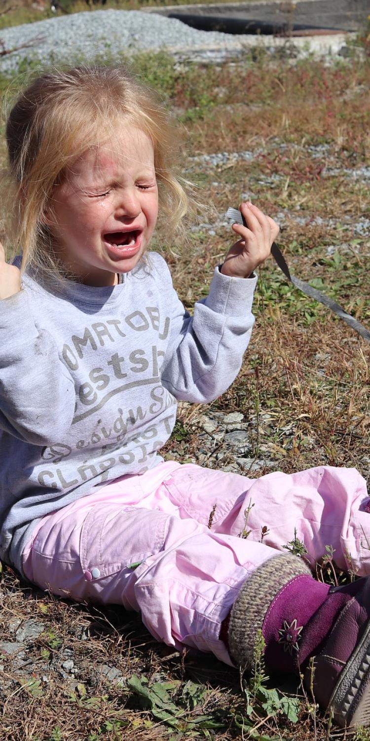 Toddler girl crying
