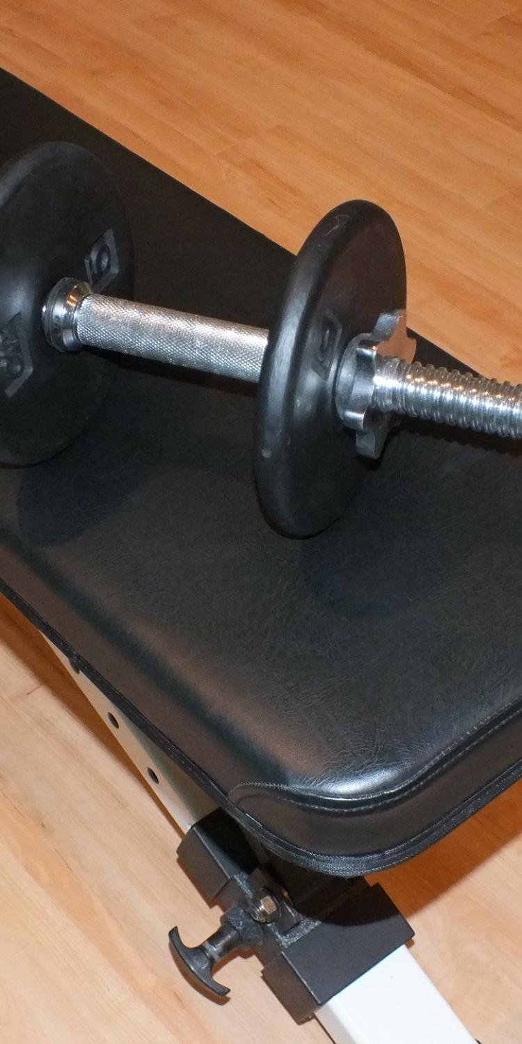 Dumbbell on weight bench