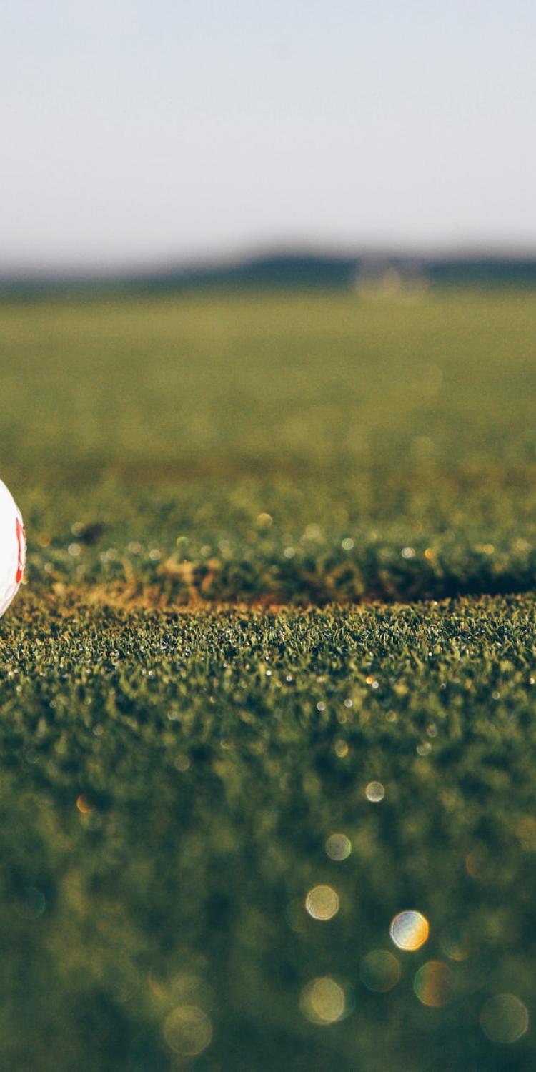 Golf ball on green