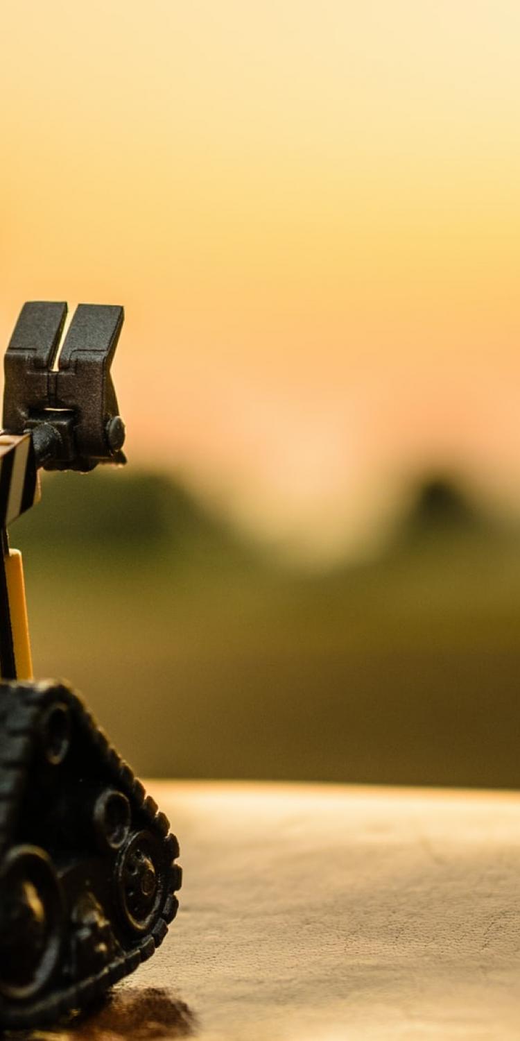 Robot looking at sunset