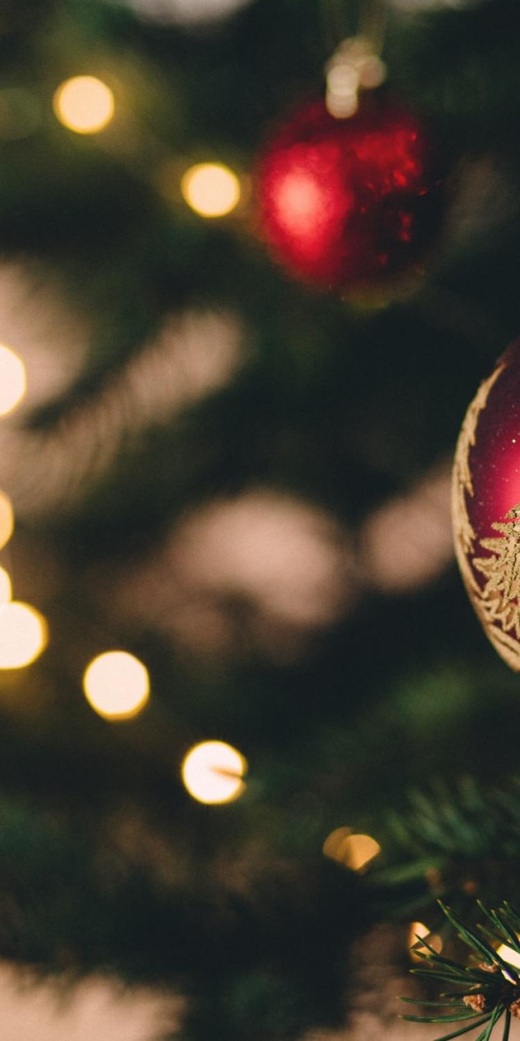 Christmas ornament on tree