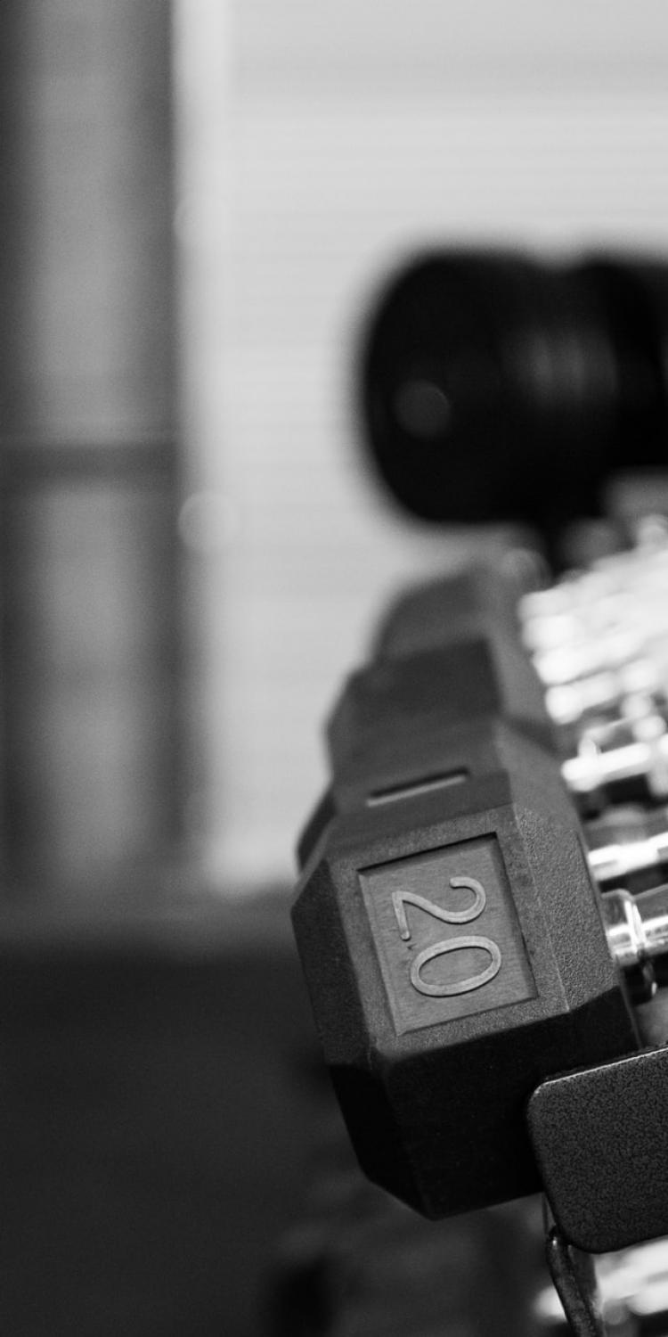 Row of dumbbells