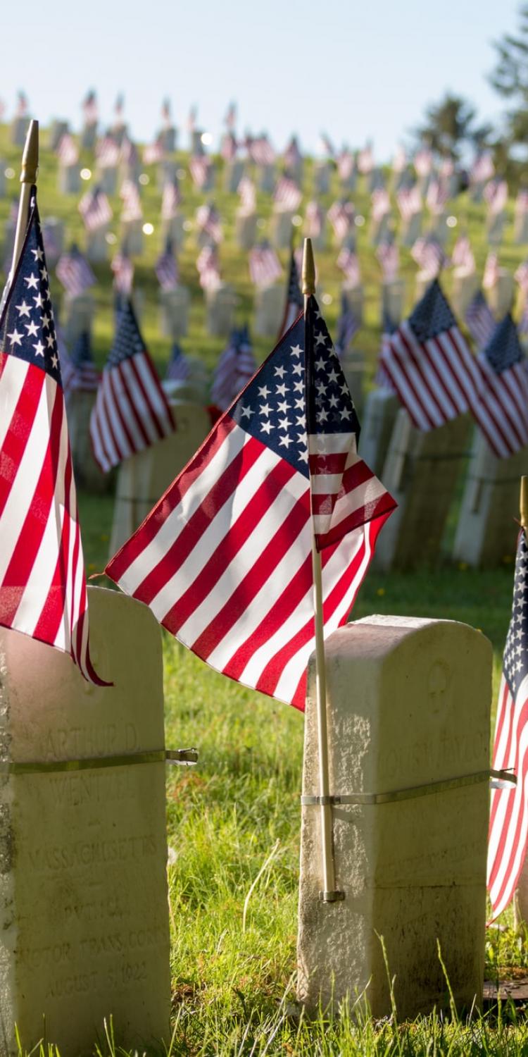 American flags on graves