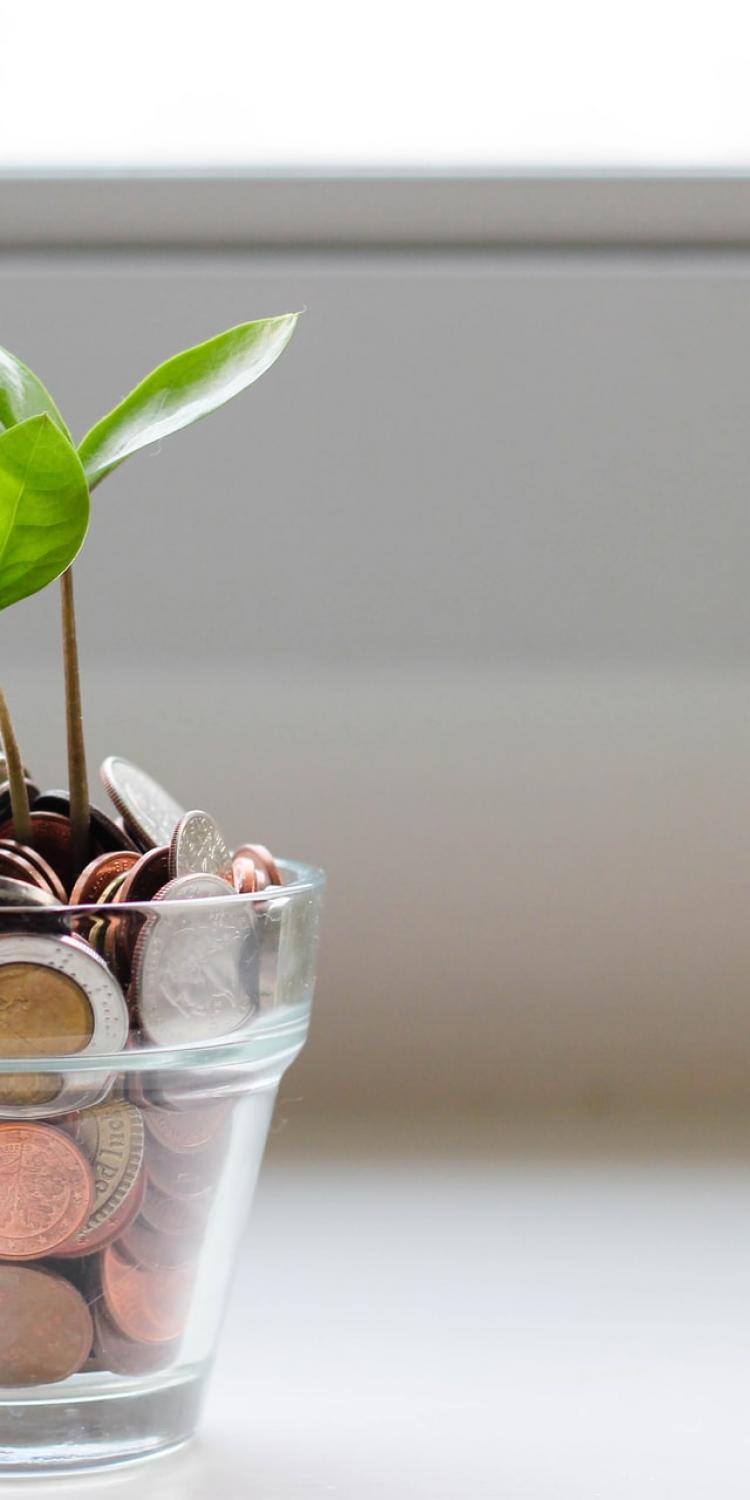 Plant growing from coins