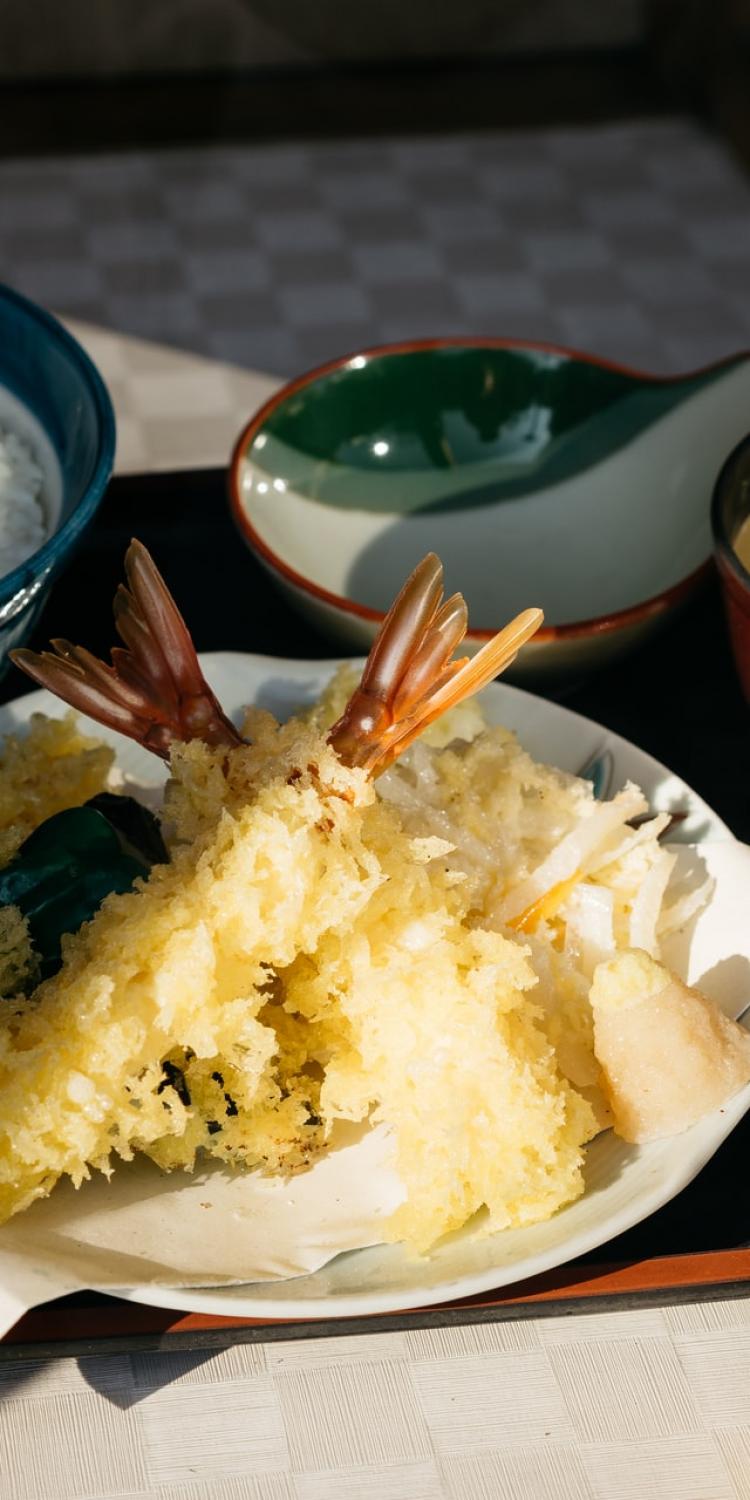 Fake Japanese Food
