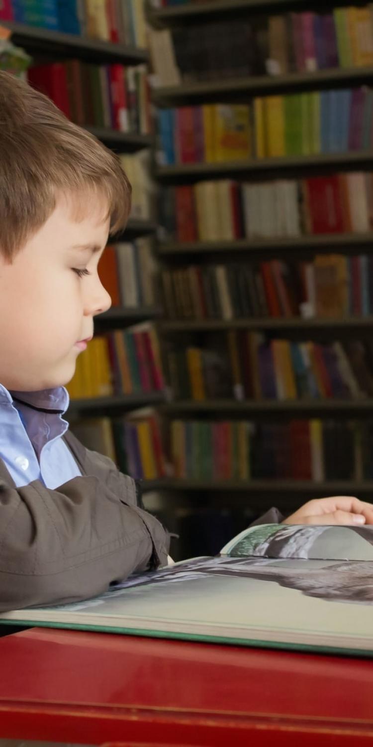 Child reading a book