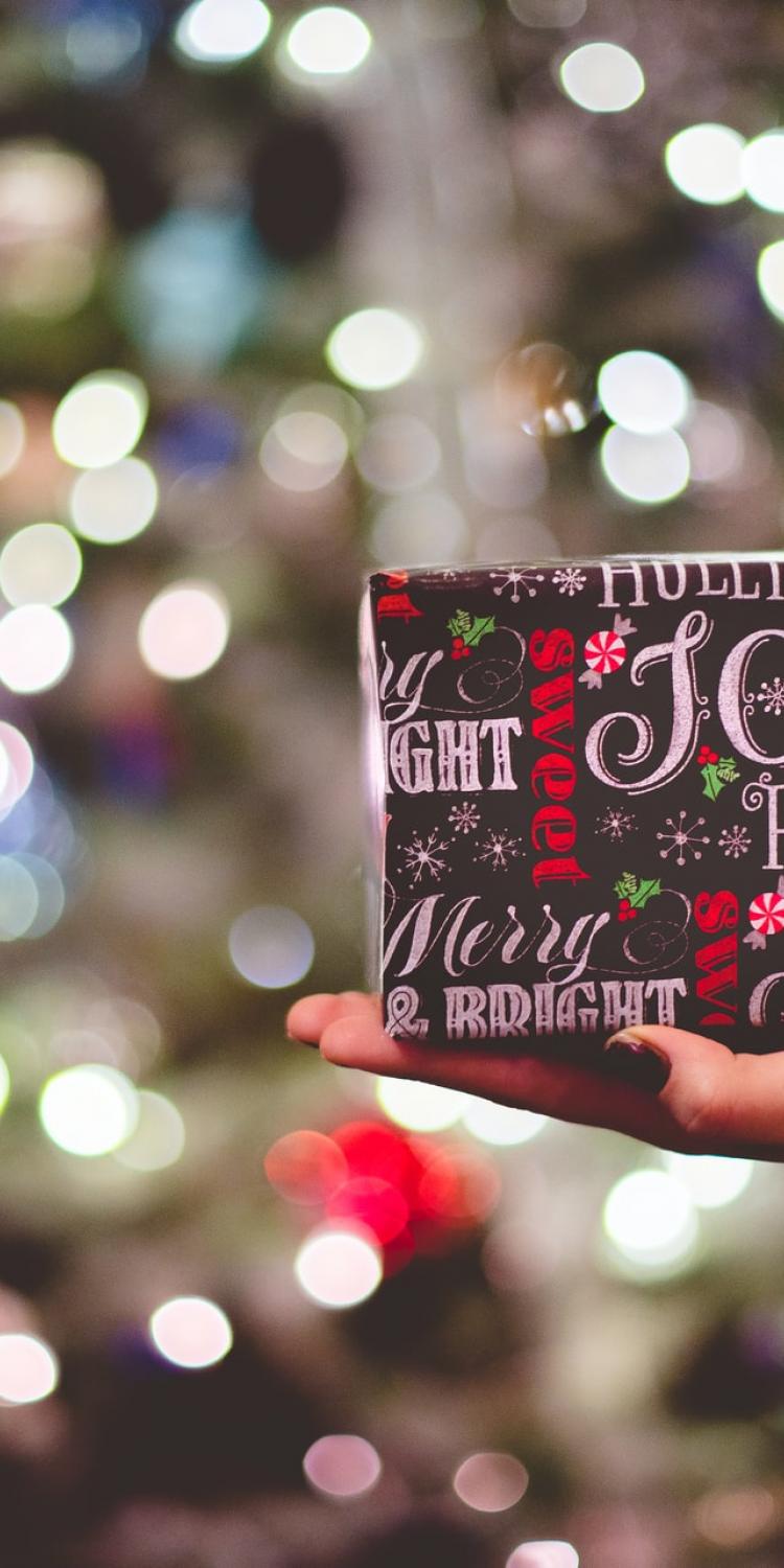 Christmas gift being held in front of tree