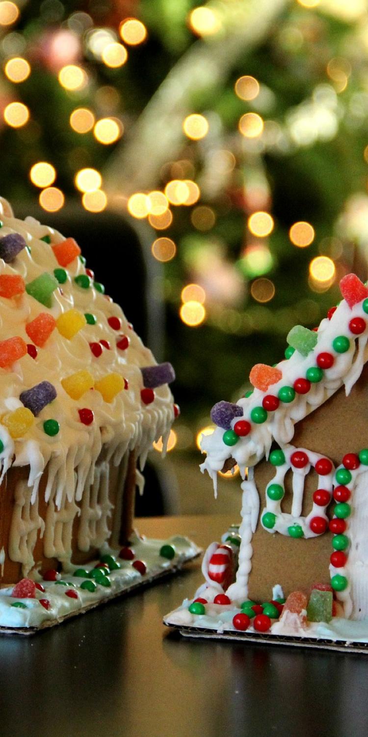 Close up of two gingerbread houses