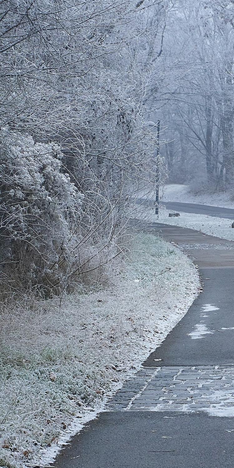 Man pushing stroller in the snow