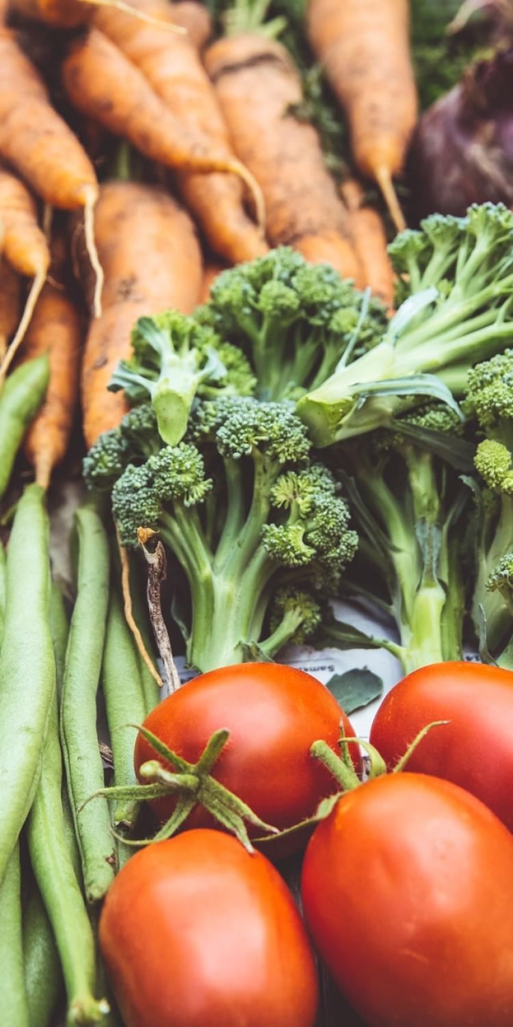 Vegetables lying on table