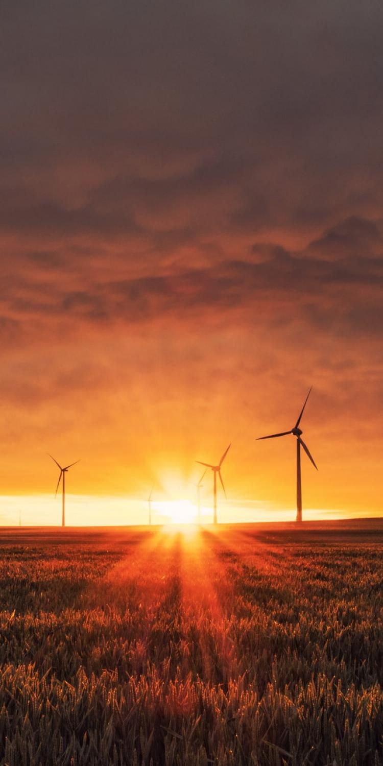 Windmills with a sunset