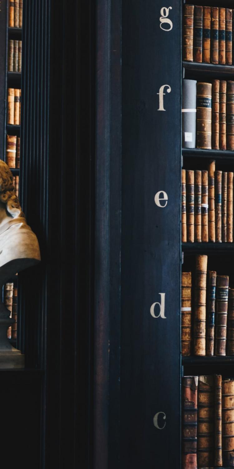 Books in a library