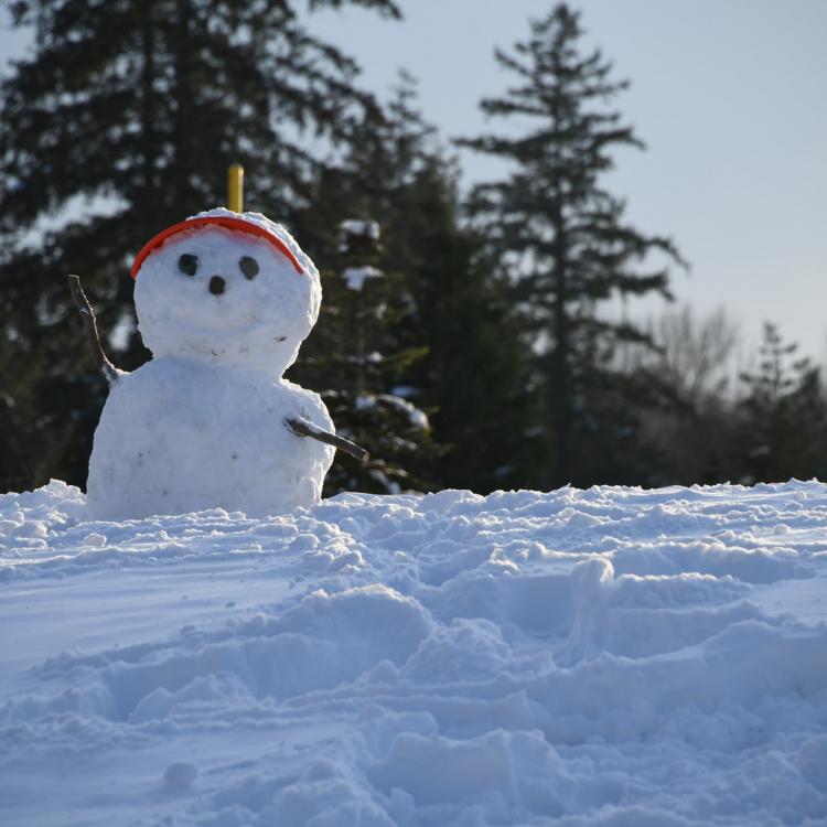 Picture of a snowman